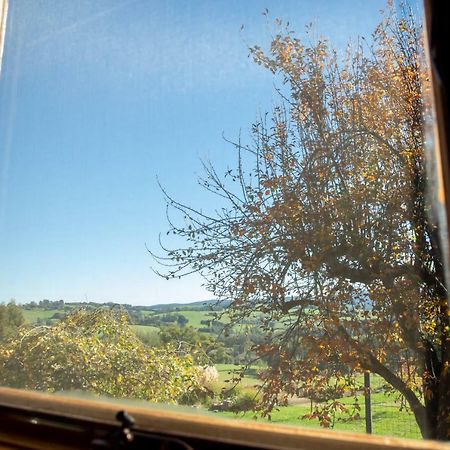 Vivere Retreat Neerim South Bagian luar foto
